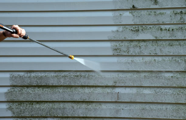 Best Mold Testing and Inspection Services in Mcconnelsville, OH