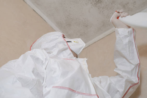 Professional Mold Remediation in Mcconnelsville, OH
