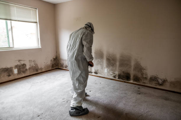 Best HVAC Mold Remediation in Mcconnelsville, OH